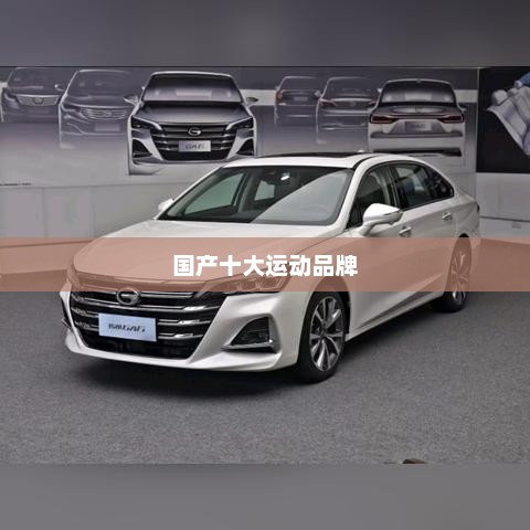 国产十大运动品牌的崛起与挑战国产十大运动品牌排行榜