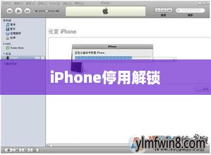 iPhone停用解锁指南及预防措施
