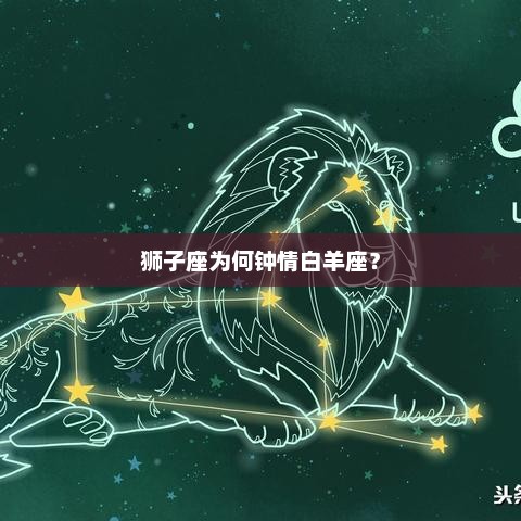 狮子座为何钟情白羊座？