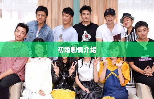 初婚剧情介绍,爱情与生活的精彩碰撞,24集令人期待 初婚剧情介绍,爱情与生活的精彩碰撞,24集令人期待