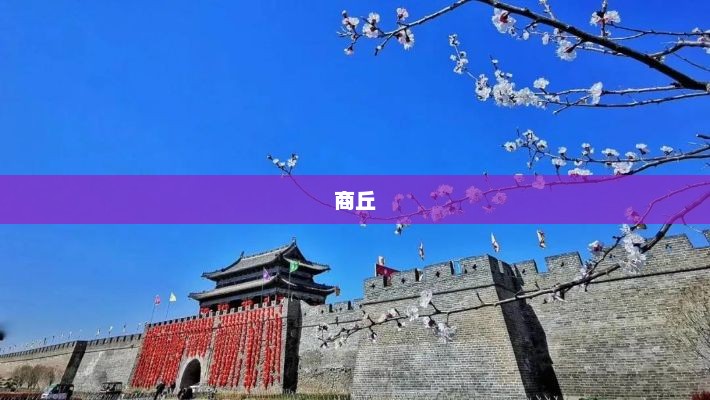 央视曝光涉事企业，商丘一次性内裤未灭菌被查封，将严肃查处