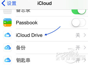 在选项中找到iCloud Drive选项