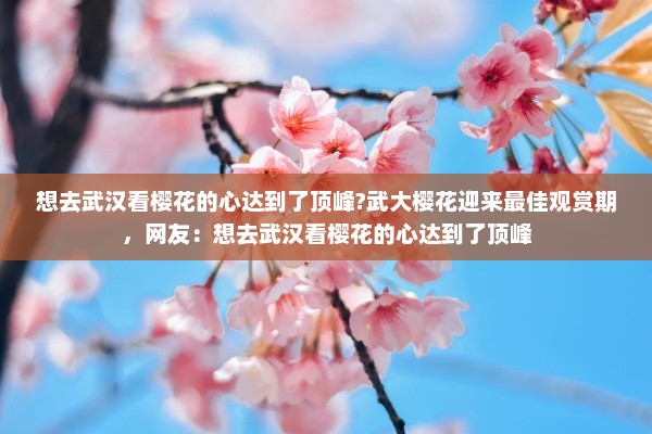 想去武汉看樱花的心达到了顶峰?武大樱花迎来最佳观赏期，网友：想去武汉看樱花的心达到了顶峰