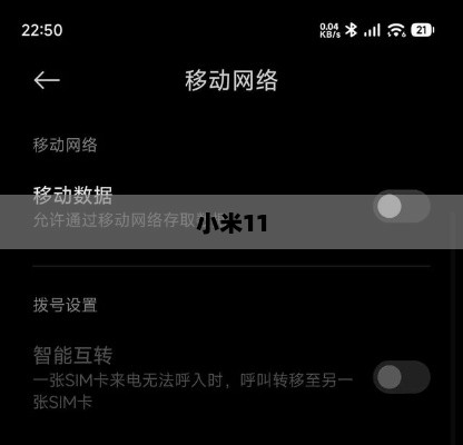 小米11 5G网络开启指南，轻松掌握打开5G的简易步骤