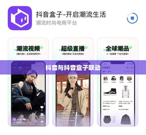 抖音与抖音盒子联动攻略，打通两者间的桥梁之道