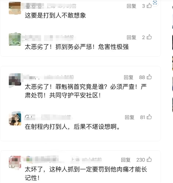 外卖员用弹弓专打电动车玻璃:只因网上说纯电车玻璃比较厚 网友怒斥必须严惩