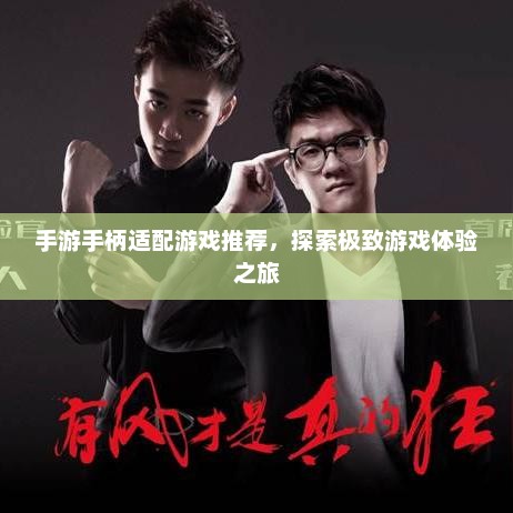 手游手柄适配游戏推荐，探索极致游戏体验之旅