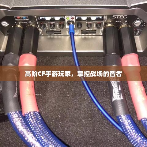 高阶CF手游玩家，掌控战场的智者
