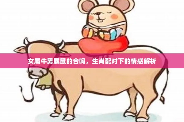 女属牛男属鼠的合吗，生肖配对下的情感解析
