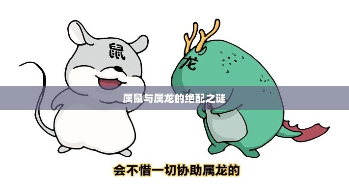 属鼠与属龙的绝配奥秘探索