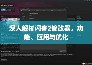 深入解析闪客2修改器，功能、应用与优化的全面探讨
