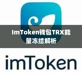 imtoken钱包TRX能量冻结详解