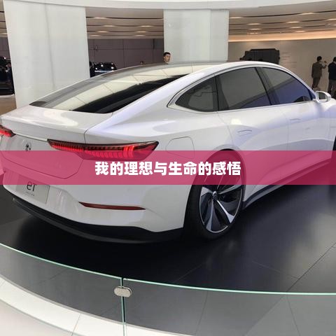 生命中的理想与感悟