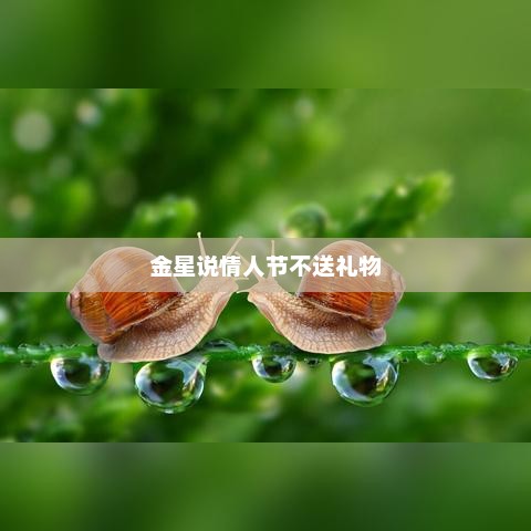 金星说情人节不送礼物，金星情人节不送礼物原因探究