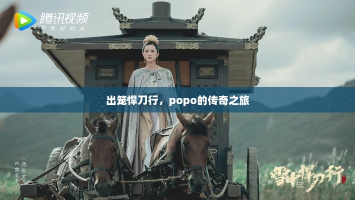 出笼悍刀行，popo的传奇之旅，popo传奇出笼刀行