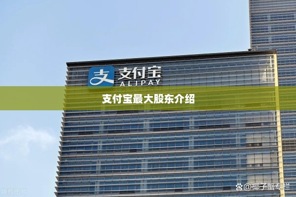 支付宝最大股东介绍，支付宝最大股东介绍，马云