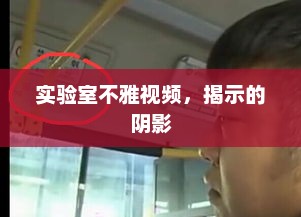 实验室不雅视频，揭示的阴影，实验室不雅视频揭秘，阴影下的秘密
