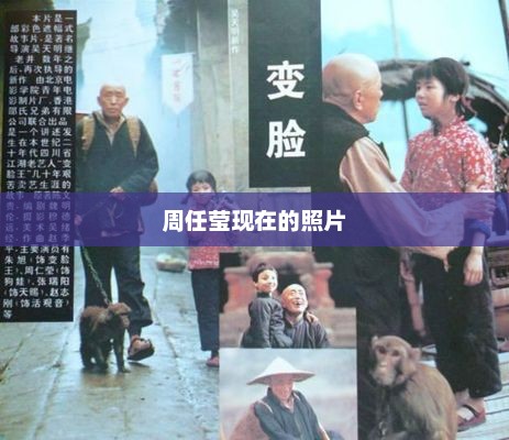 周任莹现在的照片，周任莹最新照片公开