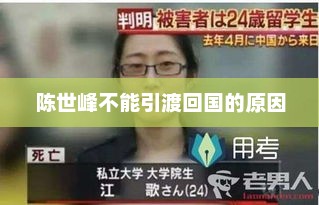 陈世峰不能引渡回国的原因，陈世峰无法引渡回国的原因分析