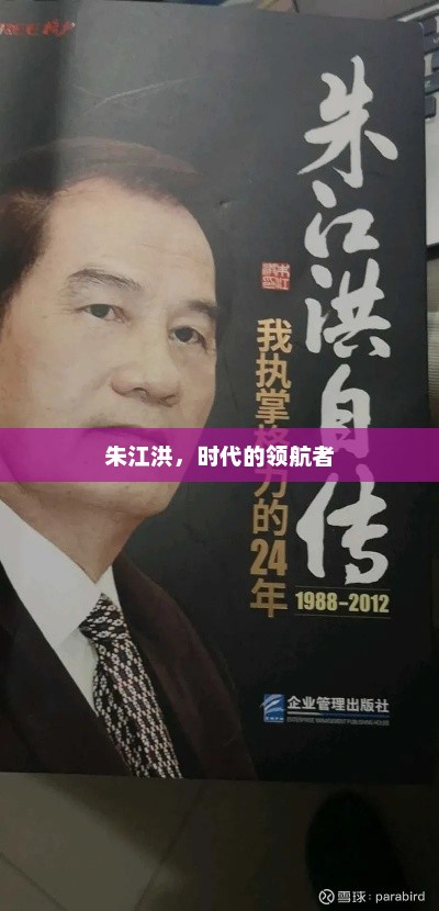 朱江洪，时代的领航者，朱江洪，引领时代新航向