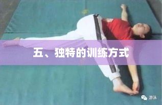 五、独特的训练方式，五、独特训练方式揭秘