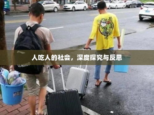 人吃人的社会，深度探究与反思，人吃人的社会，深度探究、反思与警示