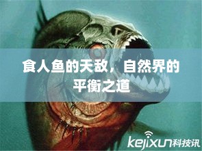 食人鱼的天敌，自然界的平衡之道，食人鱼的天敌，探索自然界平衡之道