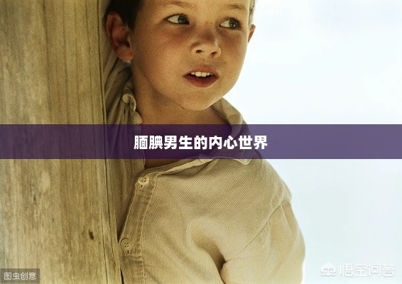 腼腆男生的内心世界，腼腆男生的内心世界，探索沉默背后的情感世界