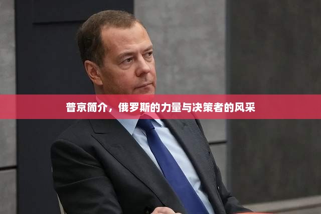 普京简介，俄罗斯的力量与决策者的风采，普京风采，俄罗斯力量与决策者的简介