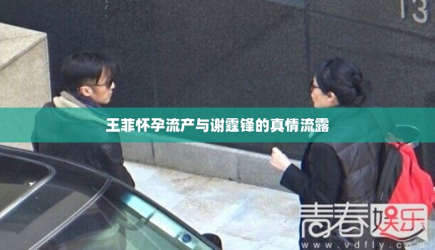 王菲怀孕流产与谢霆锋的真情流露，王菲怀孕流产事件背后的真情流露，谢霆锋的真挚情感曝光