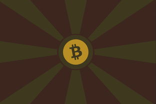 ImToken赚钱，数字货币投资的新视角与策略探索