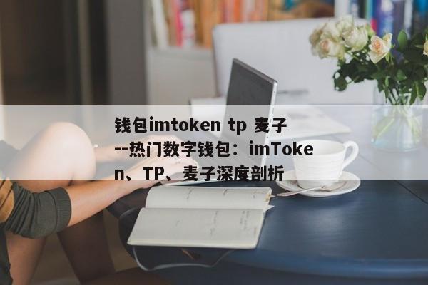 钱包imtoken tp 麦子--热门数字钱包：imToken、TP、麦子深度剖析